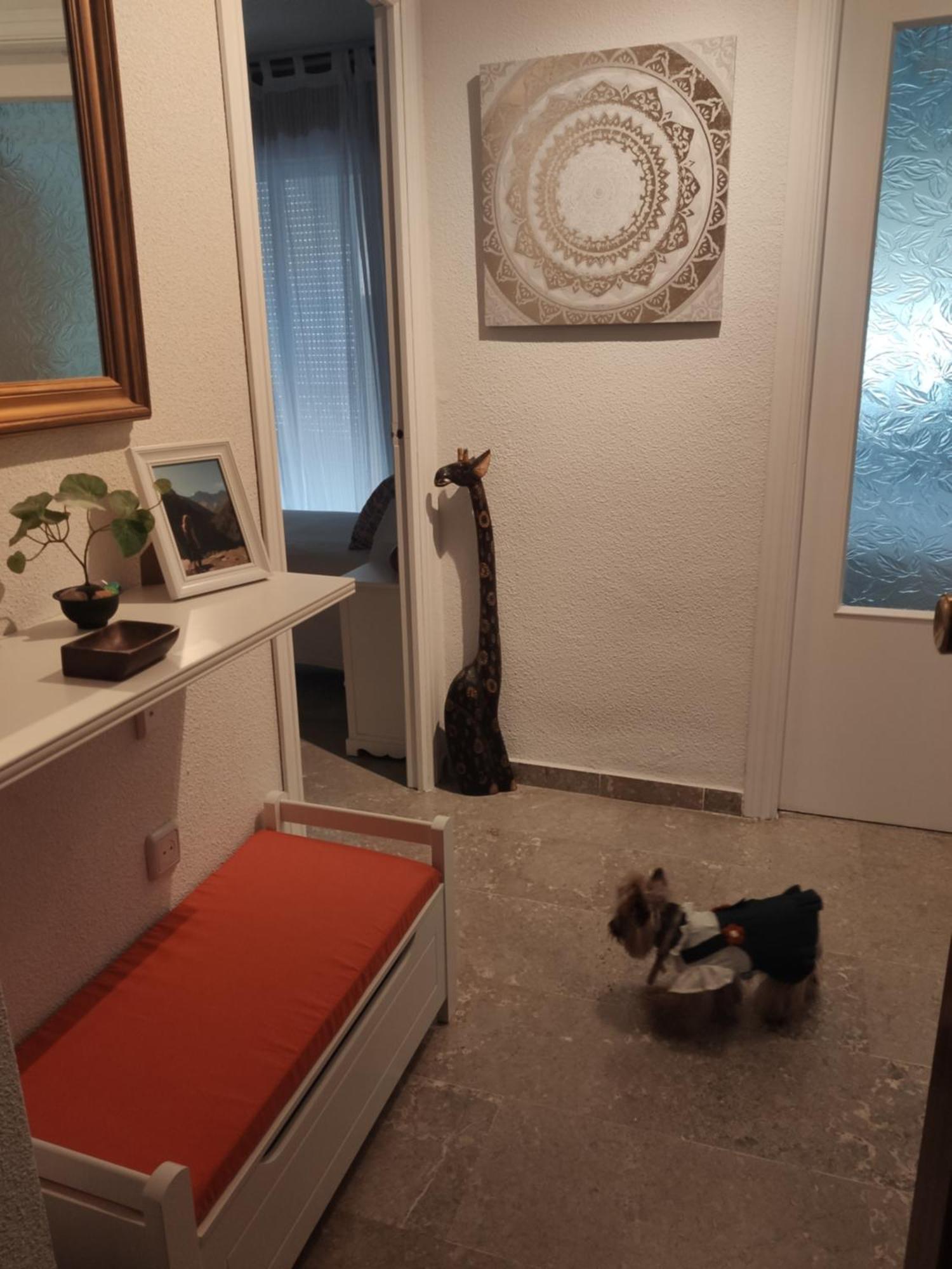 Apartamento Tropicana 1° Linea 阿尔姆尼卡 外观 照片